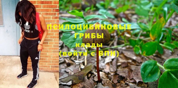 ешки Арсеньев
