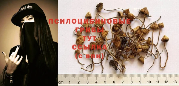 бошки Саяногорск