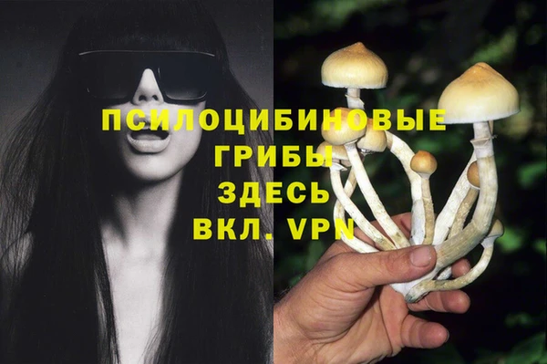 ешки Арсеньев