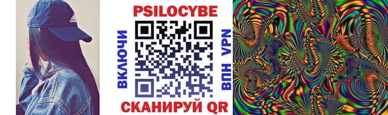 Галлюциногенные грибы Psilocybine cubensis  магазин продажи наркотиков  Белозерск 